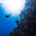 Rediscovering the Great Outdoors: An Adventure Awaits